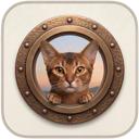 ClashFX v1.1.9 应用图标